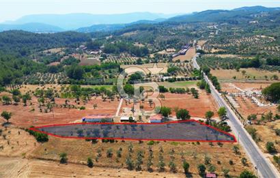 Muğla Yerkesik satılık tarla