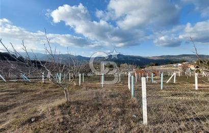 BORNOVA BEŞYOL ÇİÇEKLİKÖY YAKINI FIRSAT SATILIK ARSA