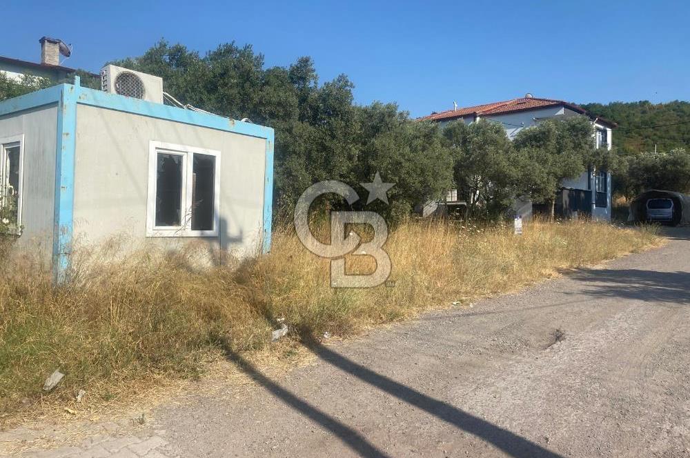 YALOVA ALTINOVA KAYTAZDERE SATILIK KÖŞE ARSA!. (441 M2)