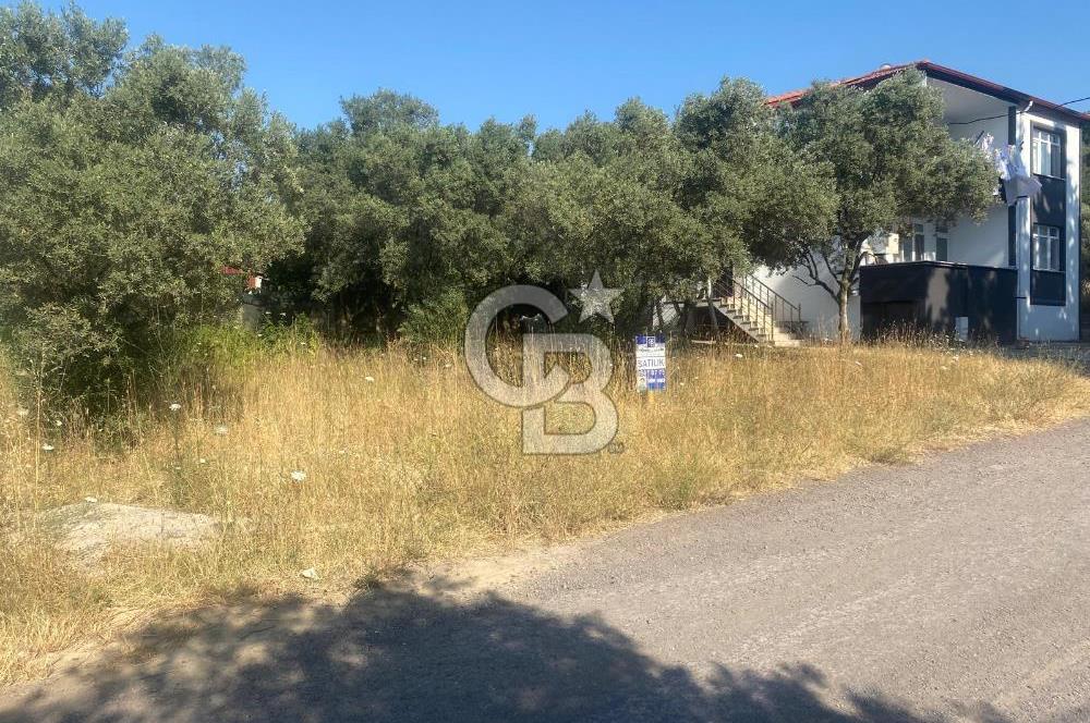 YALOVA ALTINOVA KAYTAZDERE SATILIK KÖŞE ARSA!. (441 M2)