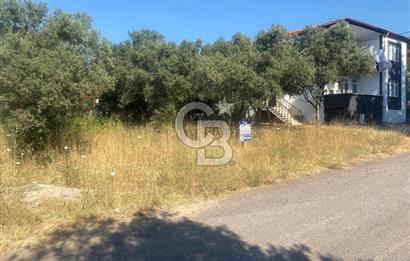 YALOVA ALTINOVA KAYTAZDERE SATILIK KÖŞE ARSA!. (441 M2)