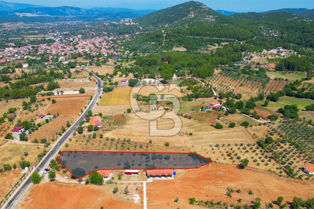 Muğla Yerkesik satılık tarla