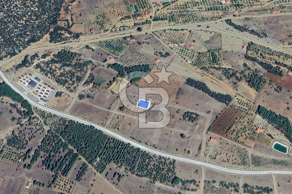 Tavas'ta Lavanta Kokulu Yatırım Fırsatı – 715 m² Nitelikli Arsa!