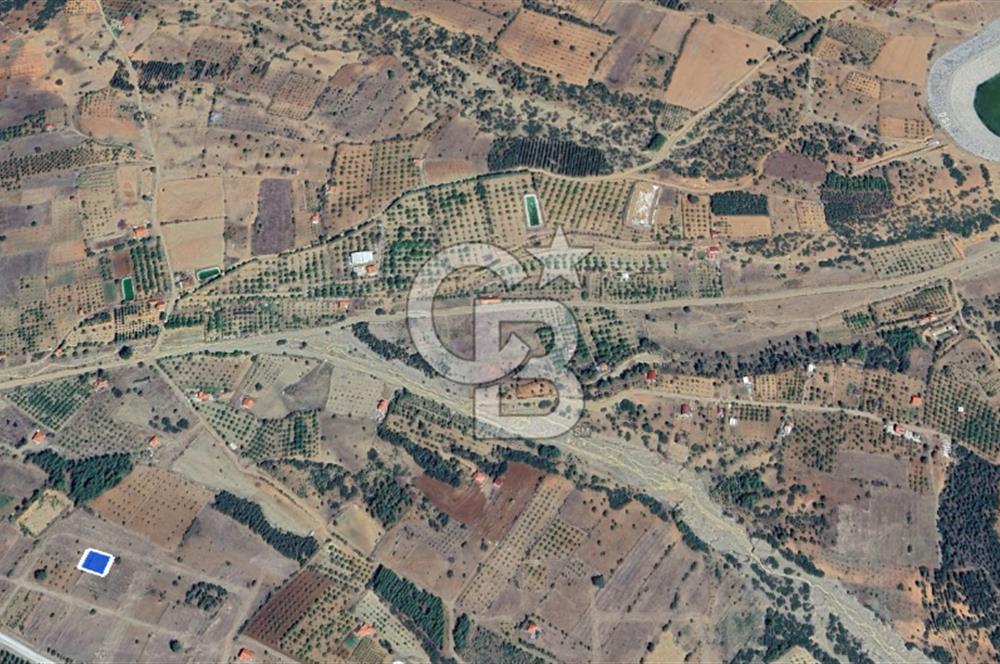 Tavas'ta Lavanta Kokulu Yatırım Fırsatı – 715 m² Nitelikli Arsa!