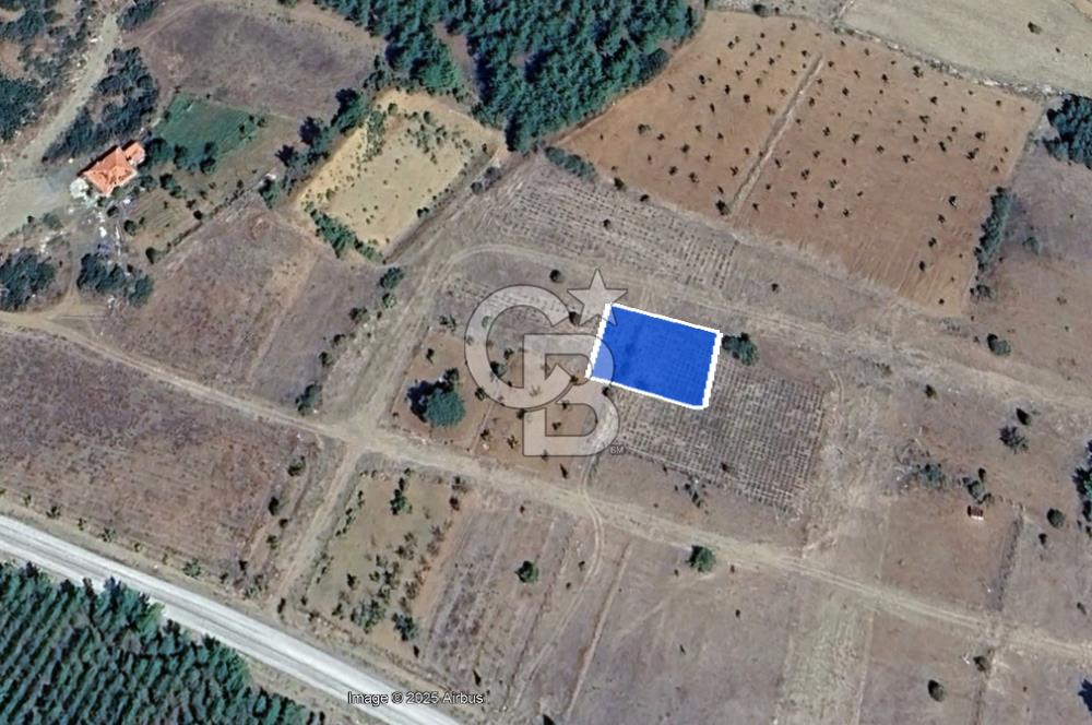 Tavas'ta Lavanta Kokulu Yatırım Fırsatı – 715 m² Nitelikli Arsa!
