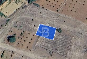 Tavas'ta Lavanta Kokulu Yatırım Fırsatı – 715 m² Nitelikli Arsa!
