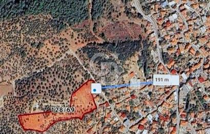 Torbalı'da Satılık Yatırıma Uygun Zeytinlik