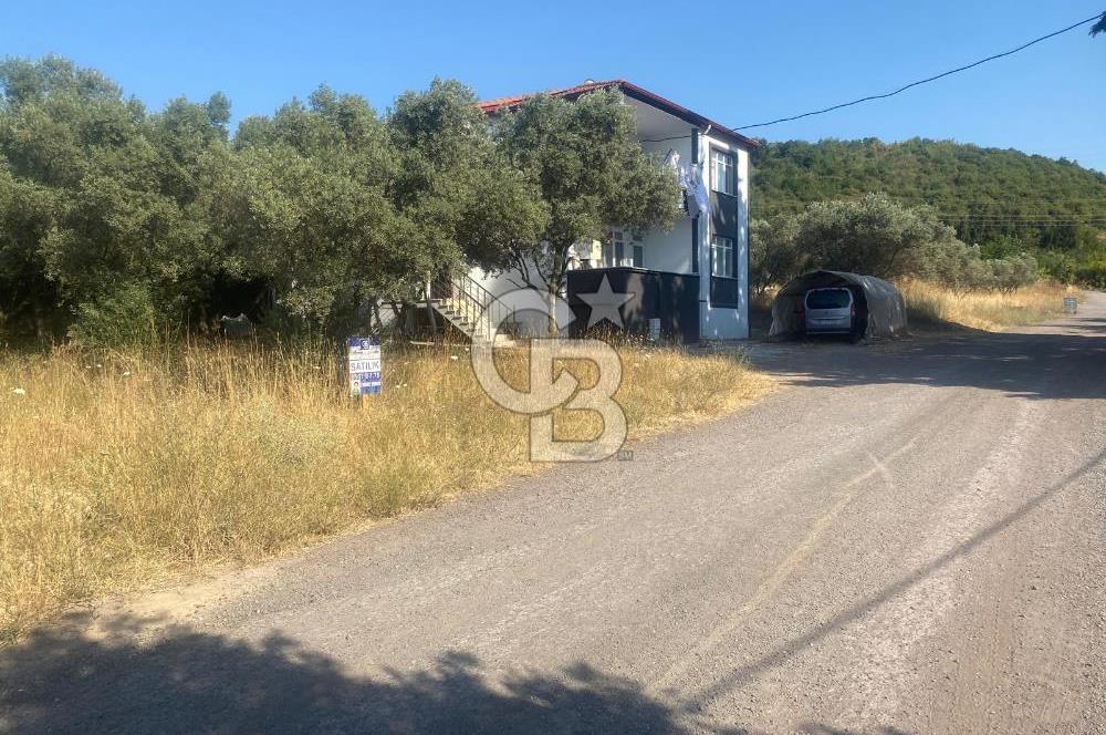 YALOVA ALTINOVA KAYTAZDERE SATILIK KÖŞE ARSA!. (441 M2)
