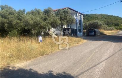 YALOVA ALTINOVA KAYTAZDERE SATILIK KÖŞE ARSA!. (441 M2)