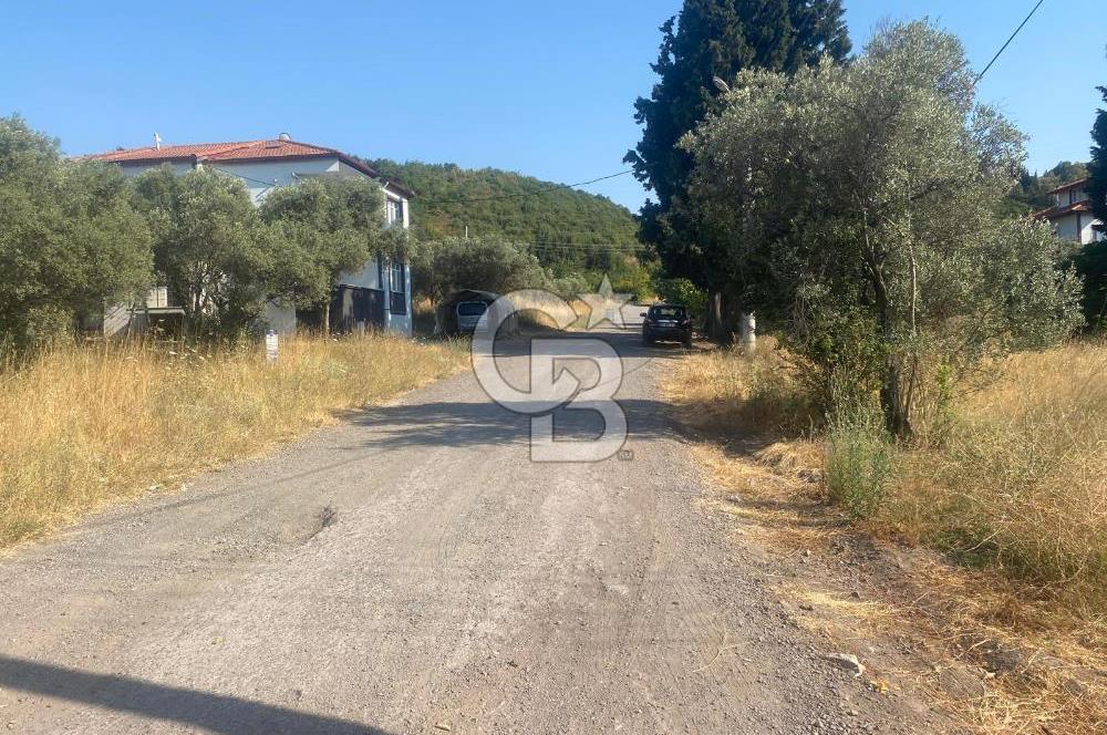 YALOVA ALTINOVA KAYTAZDERE SATILIK KÖŞE ARSA!. (441 M2)