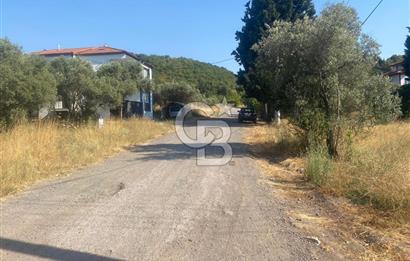 YALOVA ALTINOVA KAYTAZDERE SATILIK KÖŞE ARSA!. (441 M2)