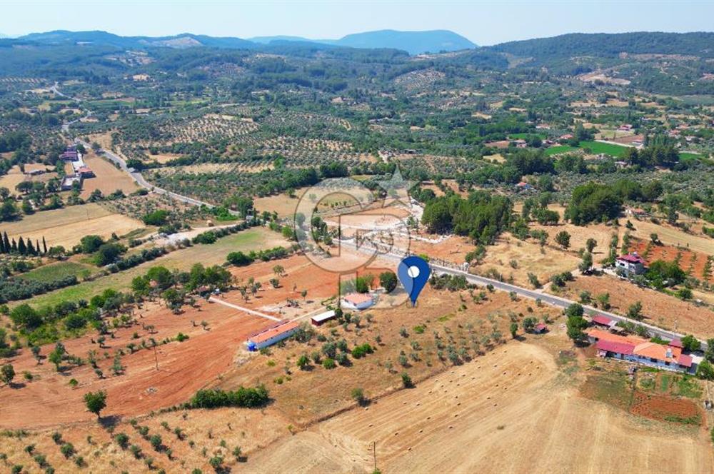 Muğla Yerkesik satılık tarla