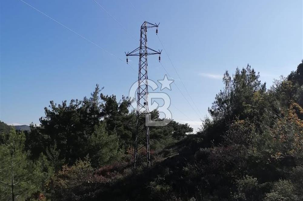 İZMİR BERGAMA İNCECİKLERDE TEK TAPU FIRSAT TARLA 
