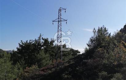 İZMİR BERGAMA İNCECİKLERDE TEK TAPU FIRSAT TARLA 