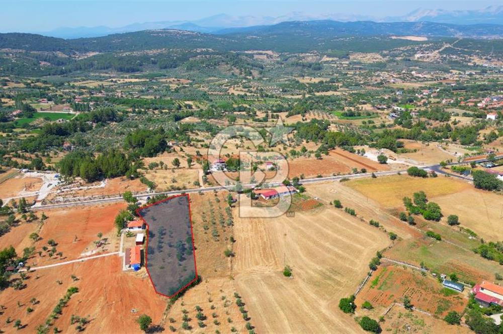 Muğla Yerkesik satılık tarla