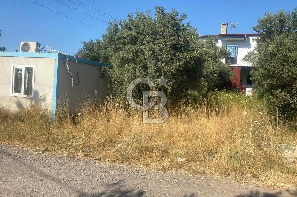 YALOVA ALTINOVA KAYTAZDERE SATILIK KÖŞE ARSA!. (441 M2)
