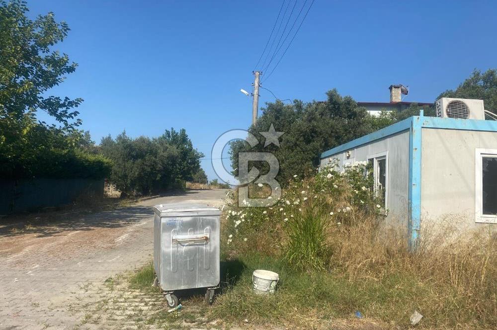 YALOVA ALTINOVA KAYTAZDERE SATILIK KÖŞE ARSA!. (441 M2)