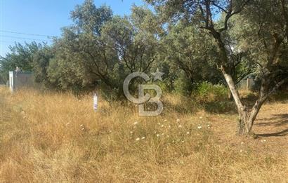 YALOVA ALTINOVA KAYTAZDERE SATILIK KÖŞE ARSA!. (441 M2)