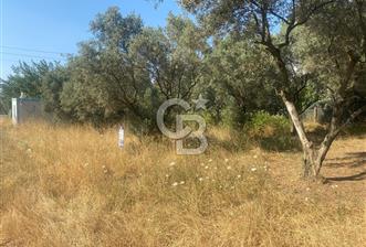 YALOVA ALTINOVA KAYTAZDERE SATILIK KÖŞE ARSA!. (441 M2)