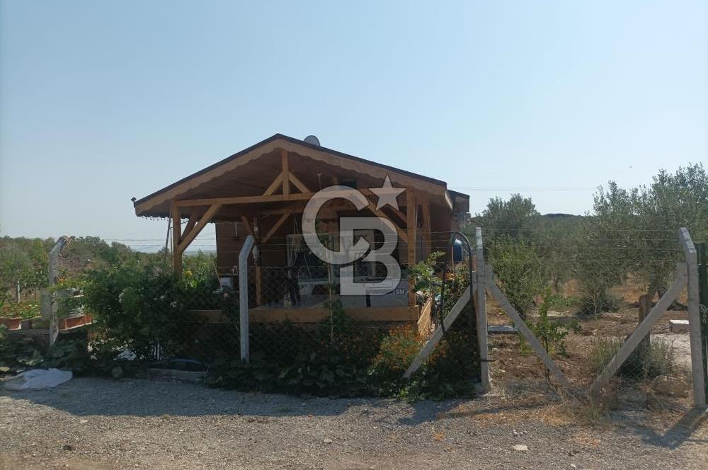 CB İYA DAN TÜRKELLİ DE İÇİNDE EVİ OLAN EŞYALI SATILIK HOBİ BAHÇESİ