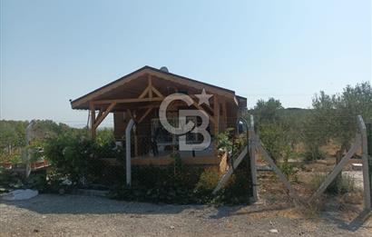 CB İYA DAN TÜRKELLİ DE İÇİNDE EVİ OLAN EŞYALI SATILIK HOBİ BAHÇESİ