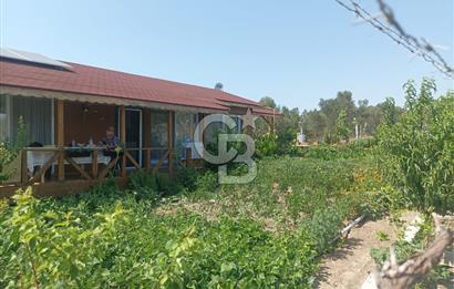CB İYA DAN TÜRKELLİ DE İÇİNDE EVİ OLAN EŞYALI SATILIK HOBİ BAHÇESİ