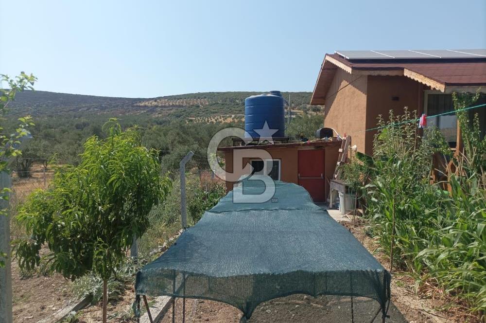 CB İYA DAN TÜRKELLİ DE İÇİNDE EVİ OLAN EŞYALI SATILIK HOBİ BAHÇESİ