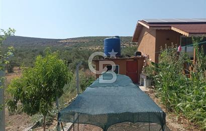 CB İYA DAN TÜRKELLİ DE İÇİNDE EVİ OLAN EŞYALI SATILIK HOBİ BAHÇESİ