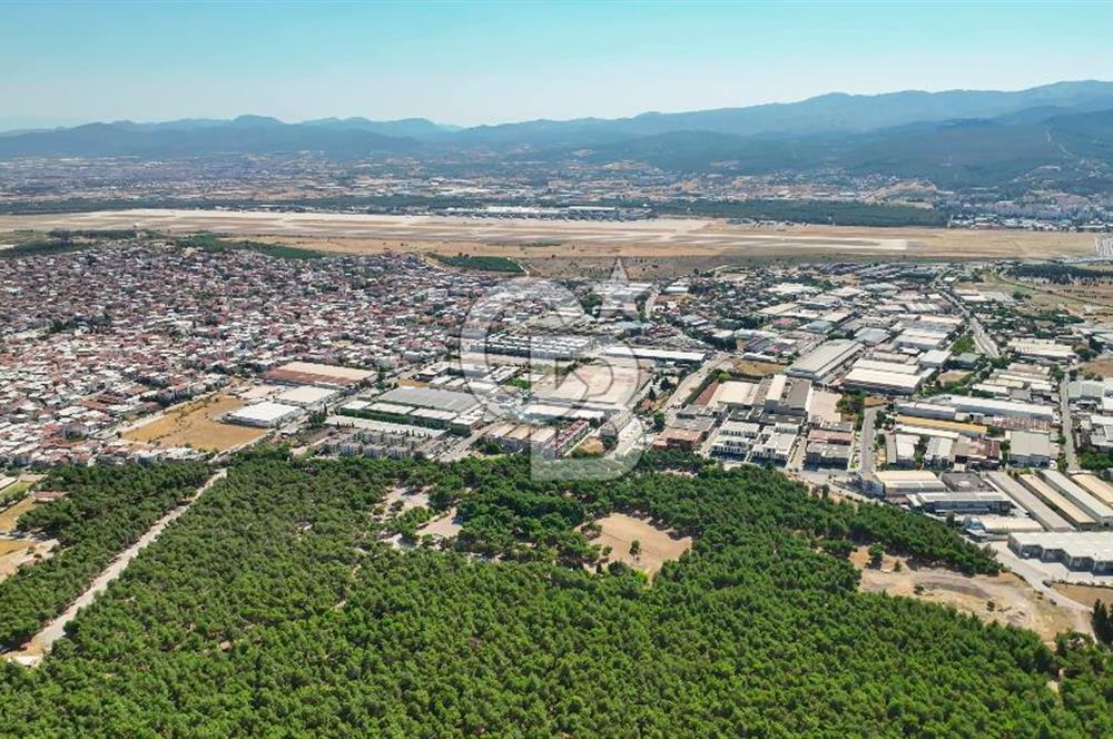 SARNIÇ OM LİFE SİTESİNİN EN ÖZEL VE EN GÜZEL DAİRESİ SATIŞTA
