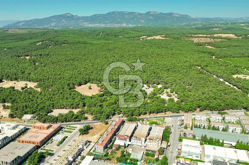 SARNIÇ OM LİFE SİTESİNİN EN ÖZEL VE EN GÜZEL DAİRESİ SATIŞTA