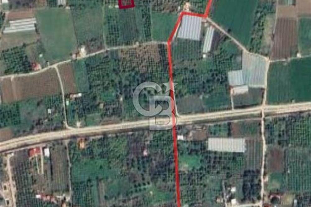 Menemen Emiralem Yayla Mah. Müstakil Parsel Tarla