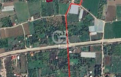 Menemen Emiralem Yayla Mah. Müstakil Parsel Tarla