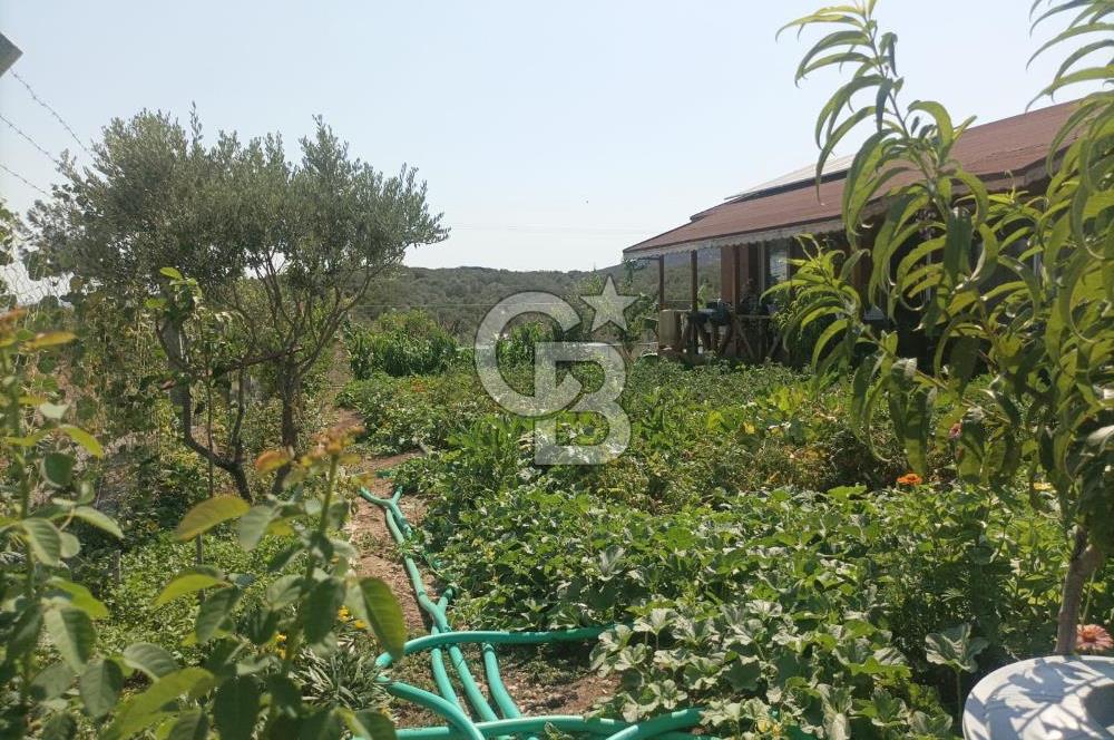 CB İYA DAN TÜRKELLİ DE İÇİNDE EVİ OLAN EŞYALI SATILIK HOBİ BAHÇESİ
