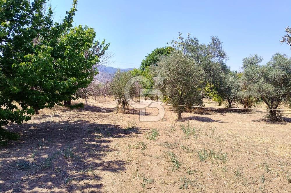 Menemen Emiralem Yayla Mah. Müstakil Parsel Tarla