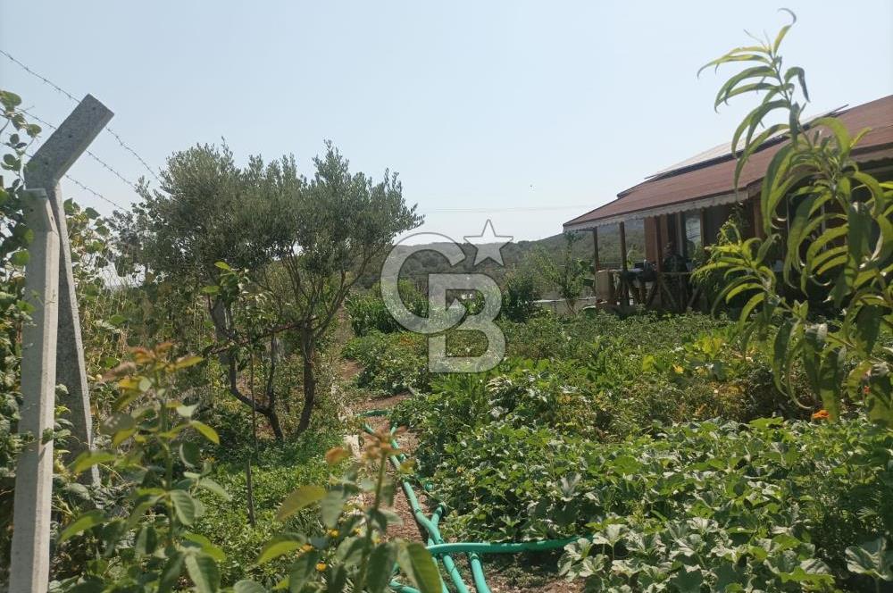 CB İYA DAN TÜRKELLİ DE İÇİNDE EVİ OLAN EŞYALI SATILIK HOBİ BAHÇESİ