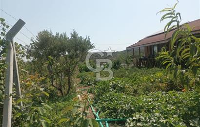 CB İYA DAN TÜRKELLİ DE İÇİNDE EVİ OLAN EŞYALI SATILIK HOBİ BAHÇESİ