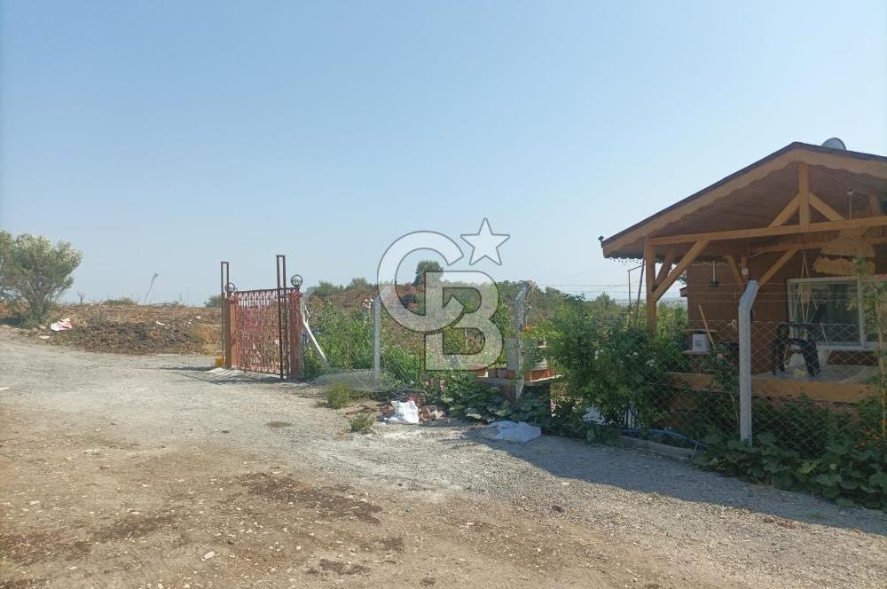 CB İYA DAN TÜRKELLİ DE İÇİNDE EVİ OLAN EŞYALI SATILIK HOBİ BAHÇESİ