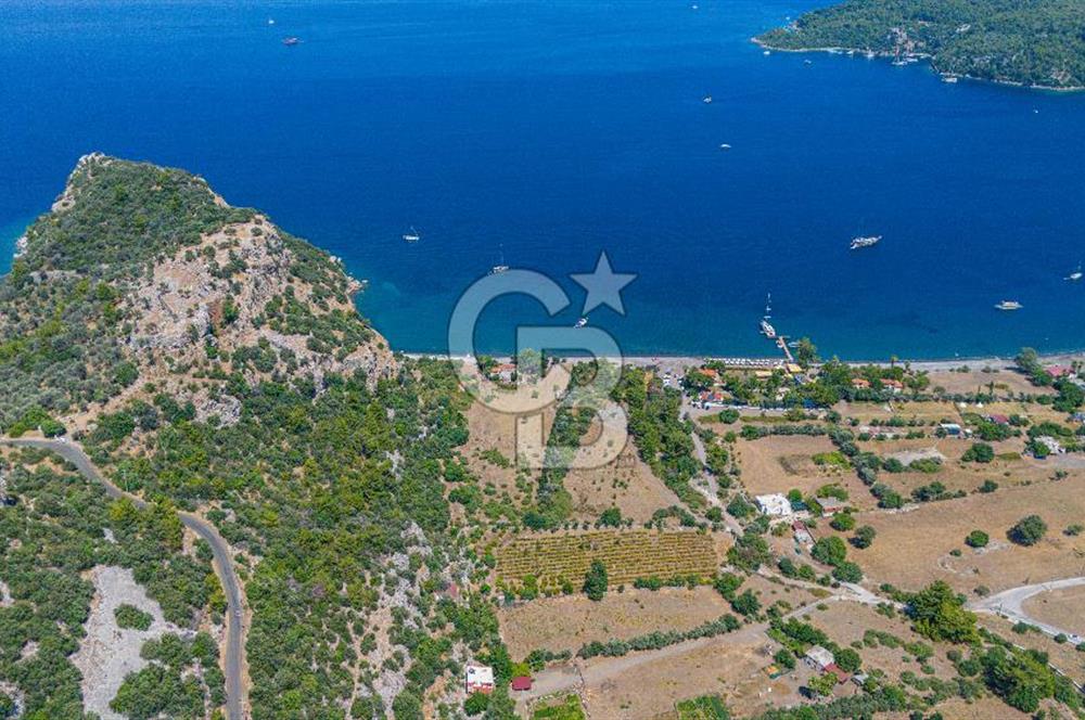 CB Marina'dan Kumlubük'de 14.635 m2 Satılık Ticari İmarlı Arsa 