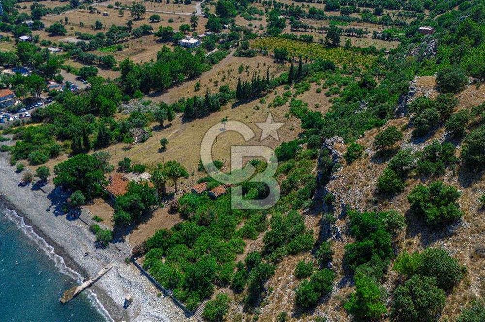 CB Marina'dan Kumlubük'de 14.635 m2 Satılık Ticari İmarlı Arsa 
