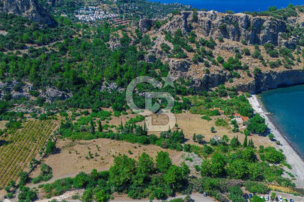 CB Marina'dan Kumlubük'de 14.635 m2 Satılık Ticari İmarlı Arsa 