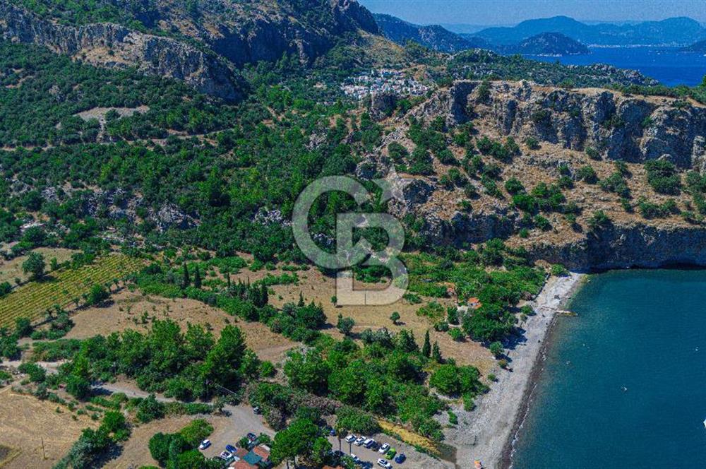 CB Marina'dan Kumlubük'de 14.635 m2 Satılık Ticari İmarlı Arsa 