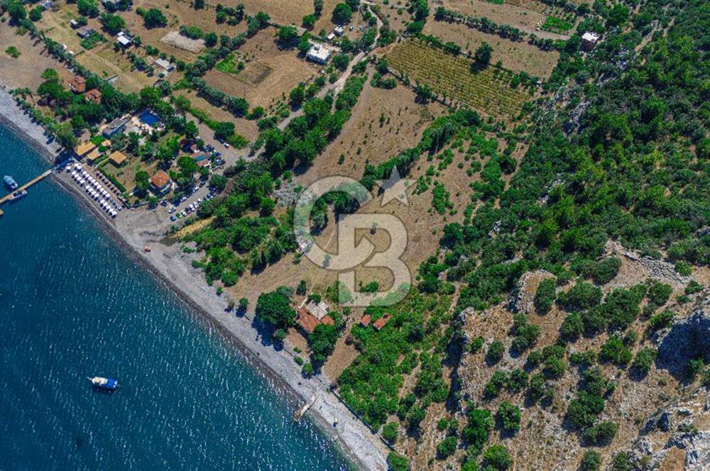 CB Marina'dan Kumlubük'de 14.635 m2 Satılık Ticari İmarlı Arsa 