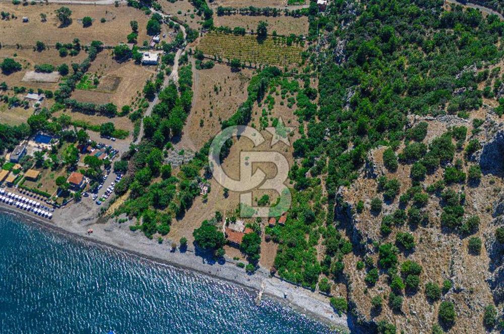CB Marina'dan Kumlubük'de 14.635 m2 Satılık Ticari İmarlı Arsa 