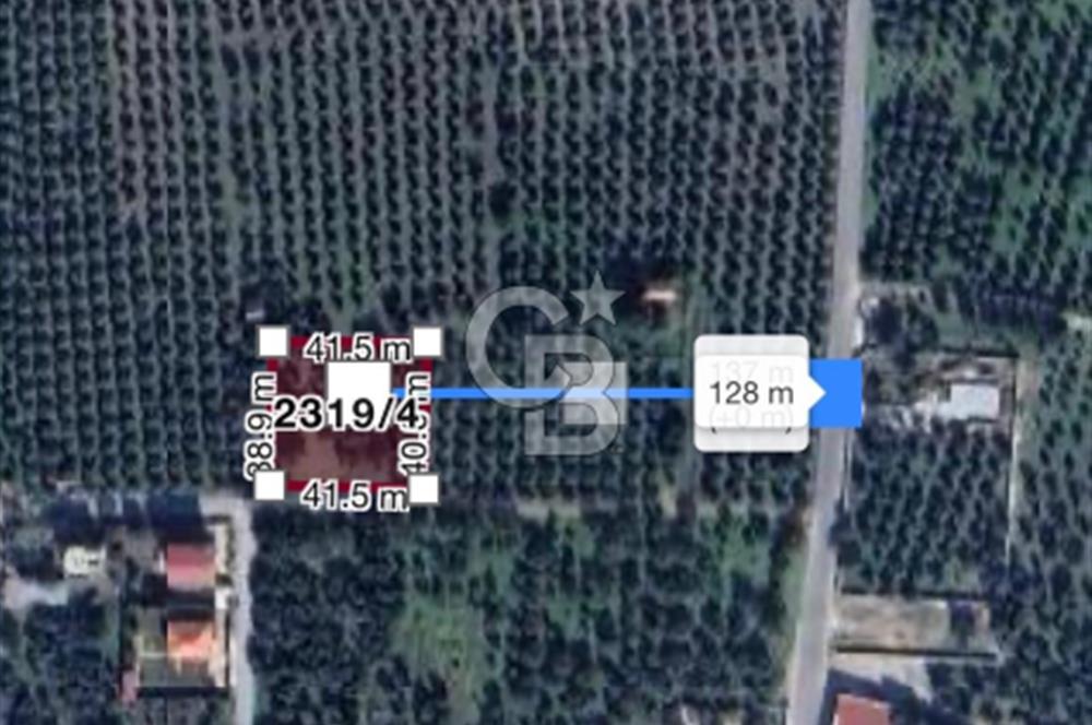 Manisa Akhisar’da Villa İmarlı Fırsat Arsa