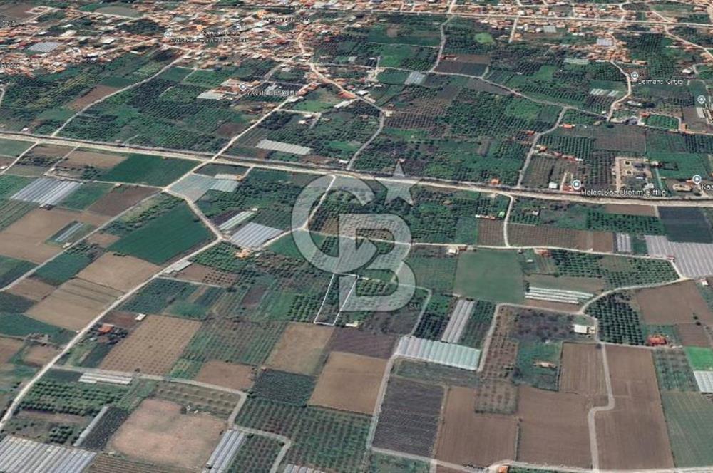 Menemen Emiralem Yayla Mah. Müstakil Parsel Tarla