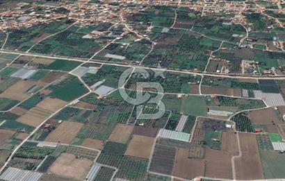 Menemen Emiralem Yayla Mah. Müstakil Parsel Tarla