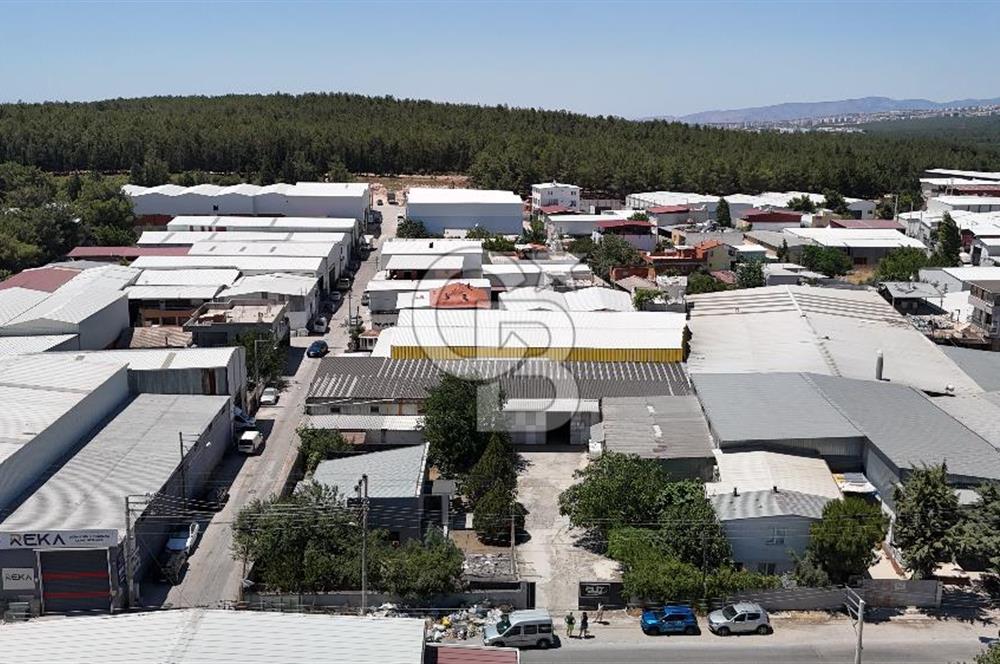 BUCA Kaynaklar Zafer Mah. Ana Cadde Üzeri Satılık Depo ve Arsası