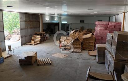 BUCA Kaynaklar Zafer Mah. Ana Cadde Üzeri Satılık Depo ve Arsası