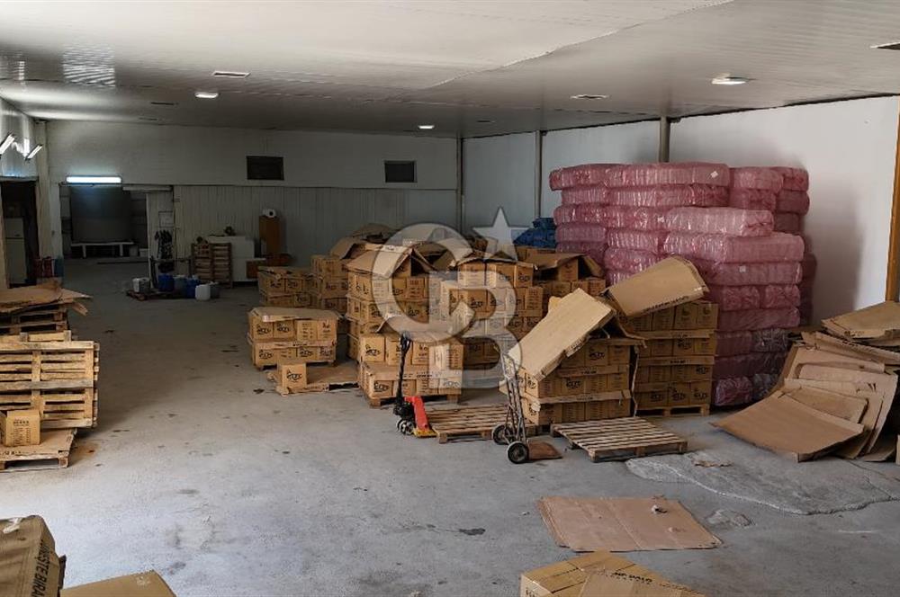 BUCA Kaynaklar Zafer Mah. Ana Cadde Üzeri Satılık Depo ve Arsası