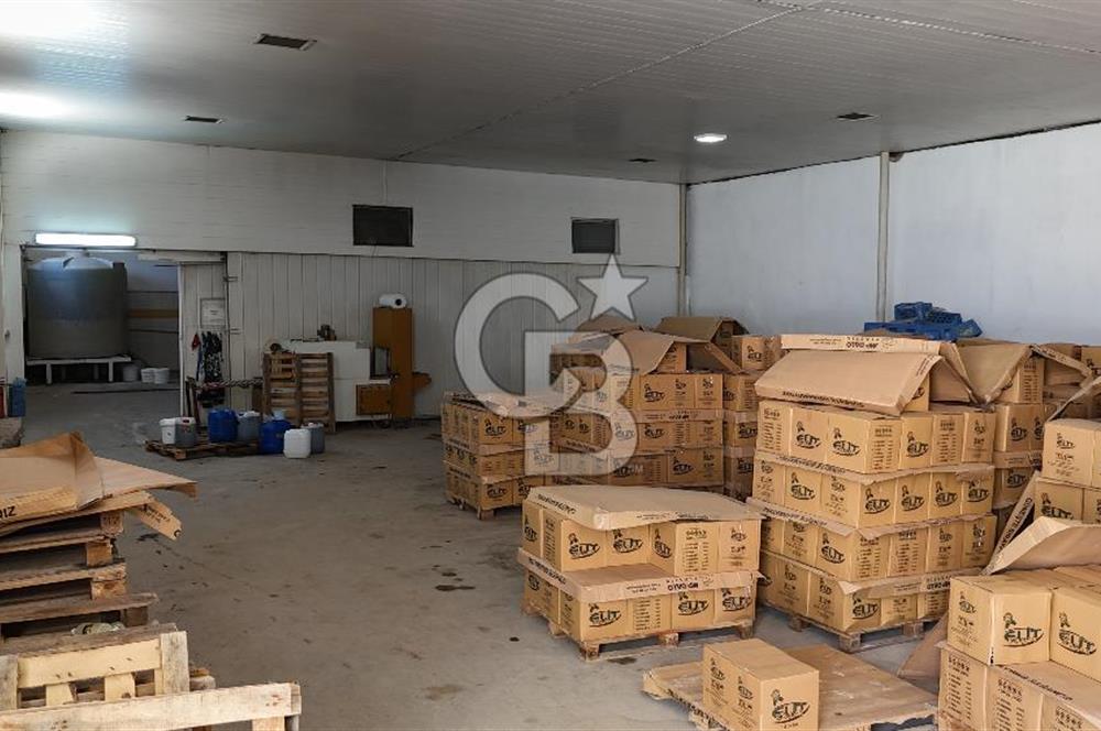 BUCA Kaynaklar Zafer Mah. Ana Cadde Üzeri Satılık Depo ve Arsası